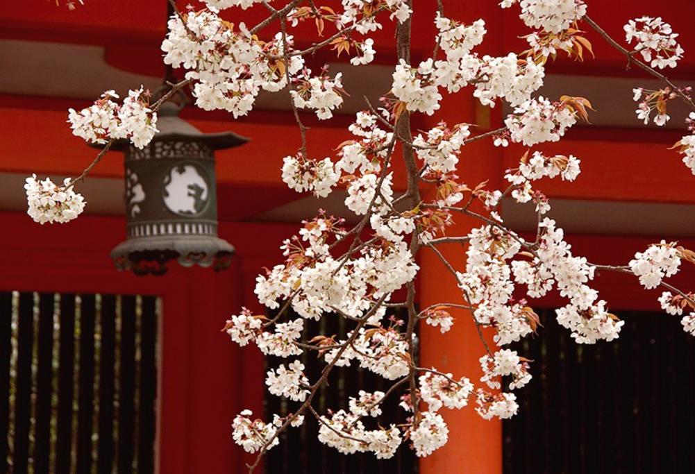 Nanako House Villa Kyoto Exterior photo